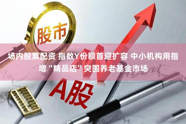 场内股票配资 指数Y份额首迎扩容 中小机构用指增“精品店”突围养老基金市场