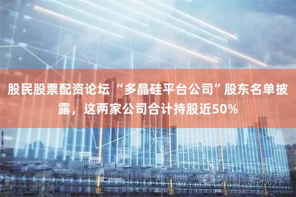 股民股票配资论坛 “多晶硅平台公司”股东名单披露，这两家公司合计持股近50%